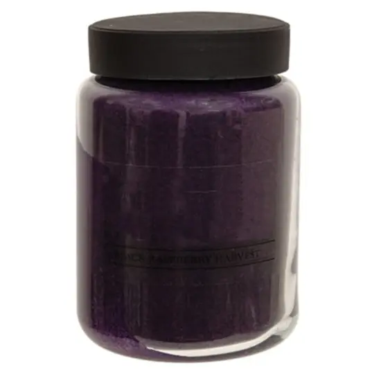 Black Raspberry Harvest Jar Candle - 26oz {1}