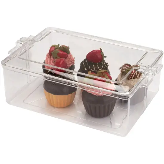 Pioneer Plastics 195C Clear Rectangular Plastic Container, 10.625" W x 7.625" D x 3.75" H {4}