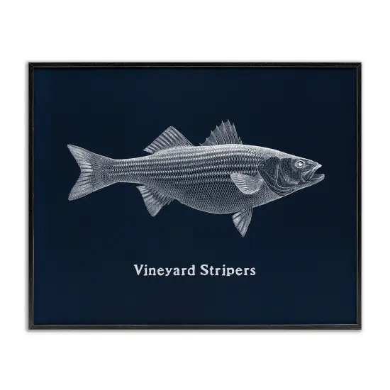 Stupell Industries Vineyard Stripers Fish Framed Giclee Design by Phillipa Katz {1}