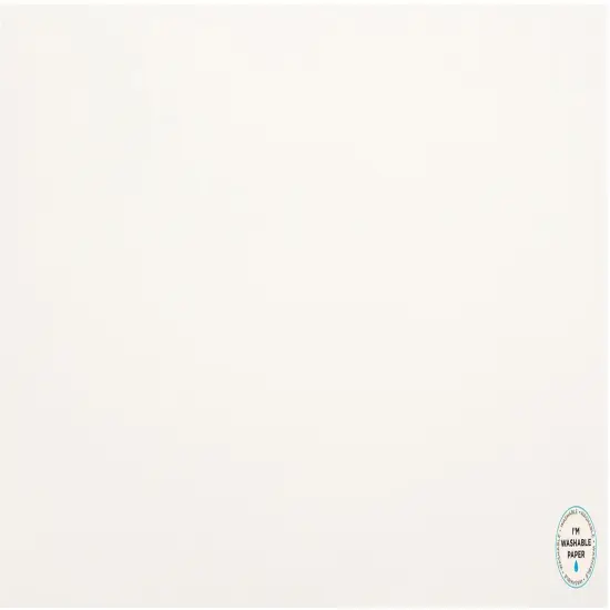American Crafts Washable Matte Paper 12"X24" {1}
