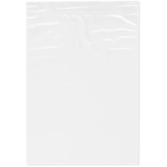 Plymor 9" x 12", White 2 Mil Zipper Reclosable Plastic Bags {1}