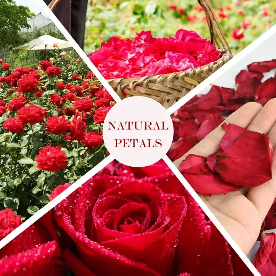 Dried Rose Petals - Dry Rose Petals Real Rose Petals Dried Organic for Rose Bath Spa Rose Quartz Candle Soap Making Wedding Confetti Resin Jewelry DIY Crafts Accessories {2}