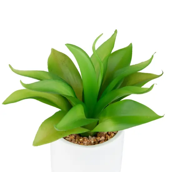 Northlight Artificial Mini Foxtail Agave Plant in a White Pot - 8" Green {6}