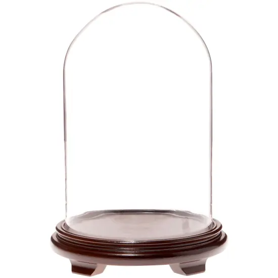 Plymor 9.75" x 15" Glass Display Dome Cloche Walnut Wood Veneer {1}