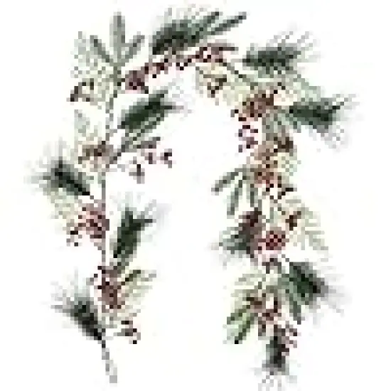 Spruce Cypress Berries Pinecones Winter {5}