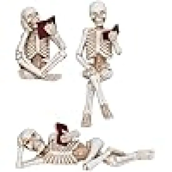 Halloween Skeleton Statue Set - Plastic Resin Figurine {1}