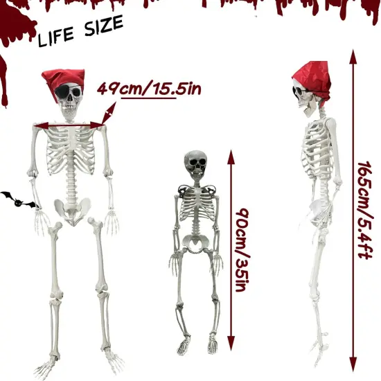 5.4ft/165cm Halloween Skeleton - Life Size Skeleton {2}