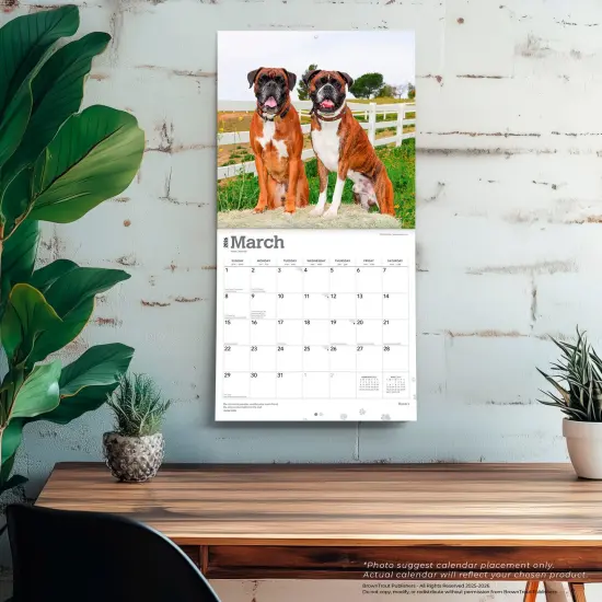 Boxers International Edition | 2026 12 x 24 Inch (Hanging) Monthly Square Wall Calendar | Plastic-Free {5}