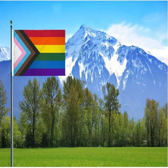 Progress Pride Rainbow Flag, 3 x 5 Foot Progressive Pride Flag 100 D Polyester Outdoor Flag,Bright and Vivid Colors Bisexual Trans LGTBQ Community Gay Pride Banner,UV Fade with Brass Grommets {2}