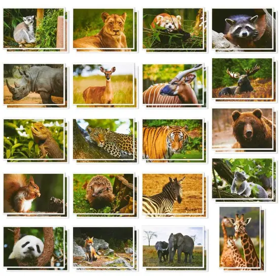 40 Pack Wild Animal Theme Postcards, 20 Designs Bulk Assorted All Occasion Cards 4"x6" Multicolor {1}