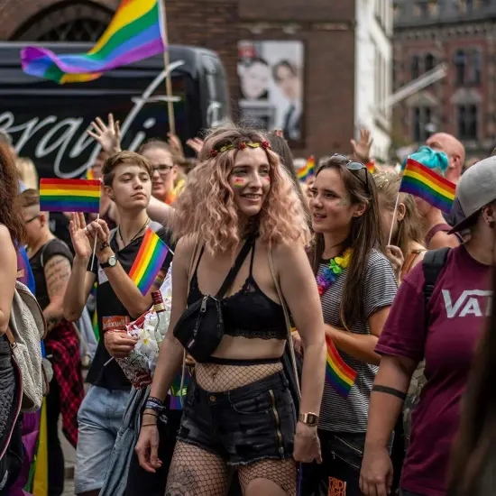 25 Pcs Pride Flag Progress LGBTQ Accessories Gay LGBT Classic Rainbow Pride Flags Stuff Decorations Hand Held Stick Small Flags Bulk for Parade Rainbow Festival Party {3}