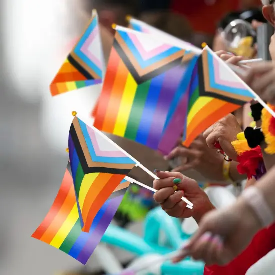 20 Pack Small Progress Pride Flag Stick 21 x 14 cm - Handheld Progress Pride Flags, Mini LGBTQ Rainbow Gay Flag for Outdoor LGBT Parades, Rainbow Party Decorationsc {5}