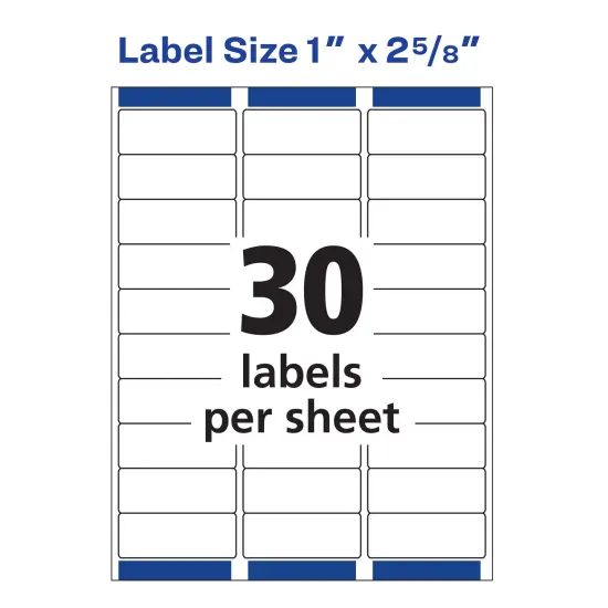 Avery White Address Labels with Permanent Adhesive, Sure Feed, 3 Sizes: 1"x 2 5/8" (300 Labels,18160), 2"x 4" (100 Labels,18163), 2/3"x 1 3/4" (600 Labels,18294), 1 Pack of Each, 1,000 Labels Total {3}