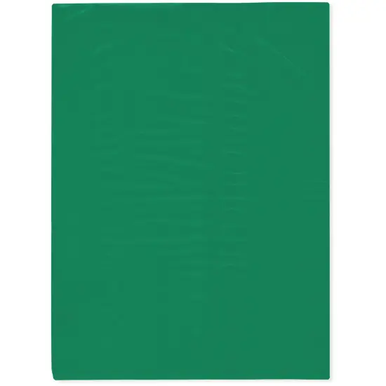 Plymor 9" x 12", Green 2 Mil Flat Open Plastic Poly Bags {1}