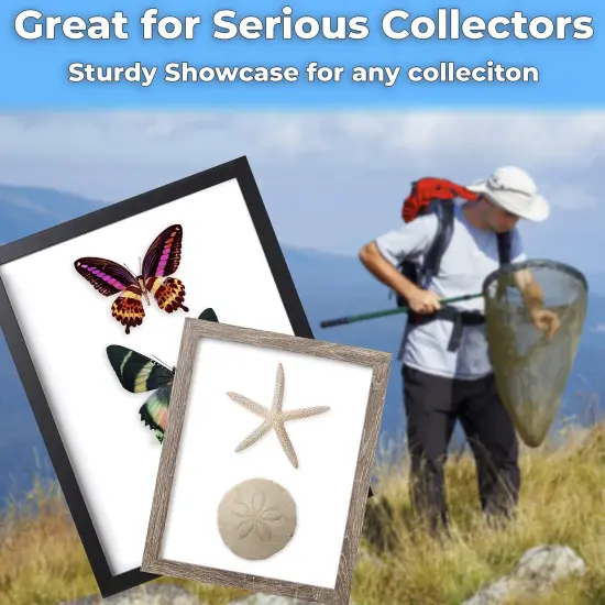 Real Wood 8x10 Shadow Box Frame 1pk. Genuine Hardwood Display with Real Glass. Best Shadowbox to Showcase Photos, Tickets, Wedding Bouquets, CDs, Medals, Awards, Seashells and Insects. {5}