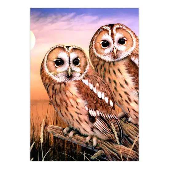 PJS87 | Painting by numbers™ 10pc 8.75" x 11.375" Tawny Owls Painting Project {2}
