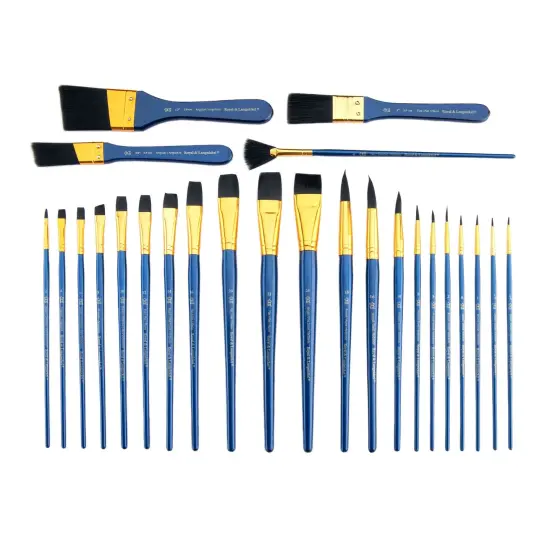 RSET-9383 | 25pc Black Taklon Variety Brush Set {2}