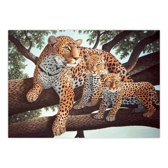 PJL24 | Painting by numbers&trade; 13pc 11.25" x 15.375" African Leopard & Cubs Painting Project {2}