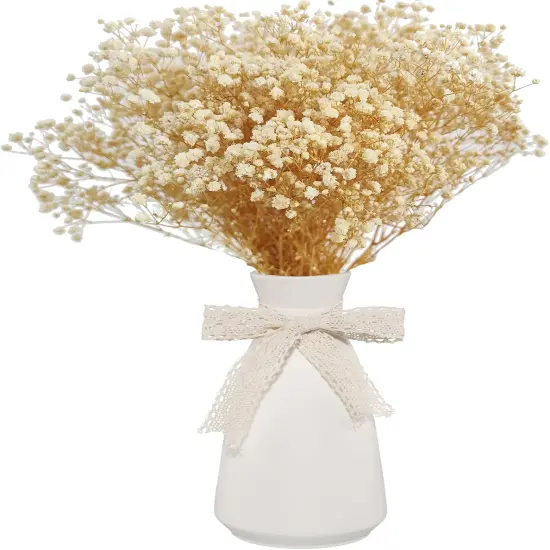 Dried Babys Breath Bulk Natural Dried Gypsophila Flowers White Babys Breath Stems for Home Decor, Weddings, Crafts {1}