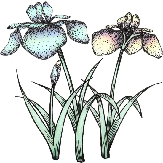 Alcohol-based Markers - 5 pcs {2}