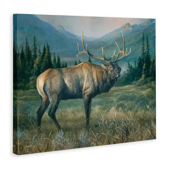 Stupell Industries Powerful Elk in Field Canvas Wall Art Design by Laura Mark-Finberg {3}