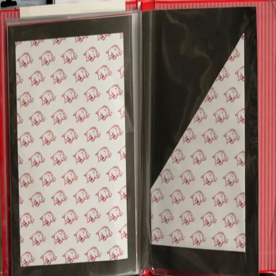 University Of Arkansas Complete 8 x 8 Officially Licensed Scrapbook {4}