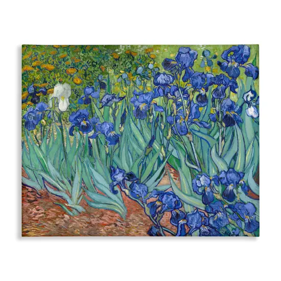 Stupell Industries Classic Van Gogh Irises Canvas Wall Art Design by one1000paintings {1}