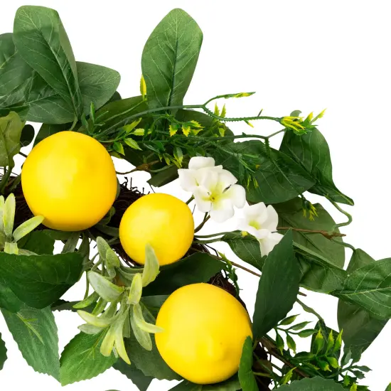 Northlight Lemons and Daisies Artificial Floral Wreath, Yellow - 20-Inch {5}