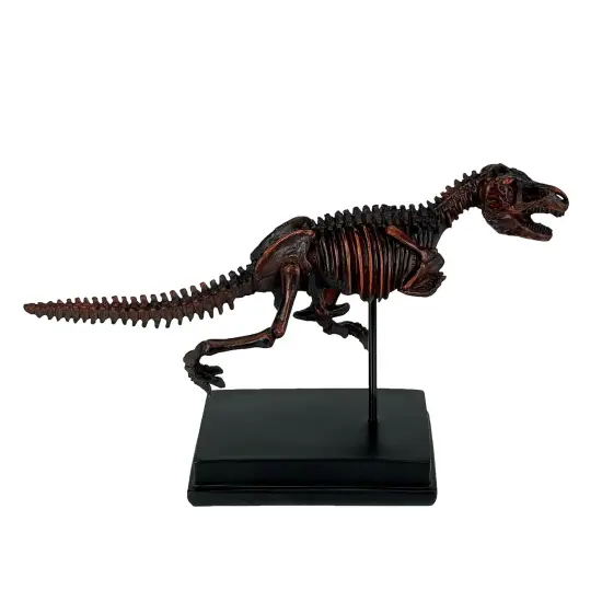 Tyrannosaurus Rex Skeleton Statue T-Rex on Museum Mount {1}