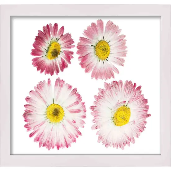 Panoramic Shadow Box 1" Depth White Picture Frame - UV Acrylic, Backing, Hanging Hardware {6}