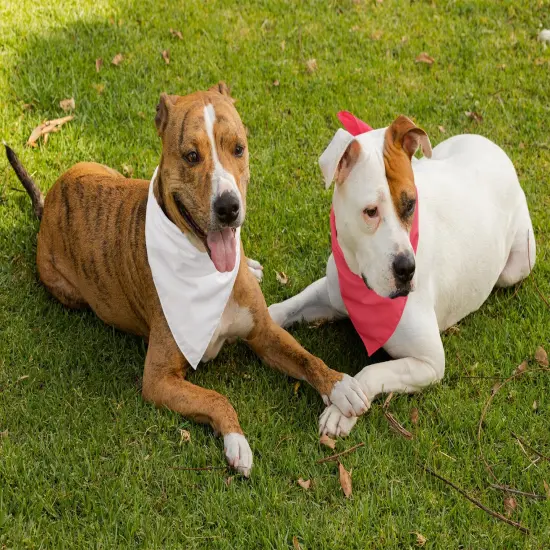 Balec Pack of 2 Paisley Cotton Dog Bandana Triangle Shape- One Size Fits Most {6}