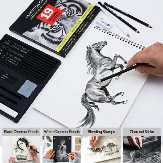 Charcoal Drawing Set, 19 Pieces, Black & White Charcoal Pencils for Drawing {4}