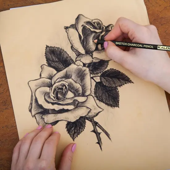 Professional Charcoal Pencils Drawing Set -12 Pieces Soft {2}