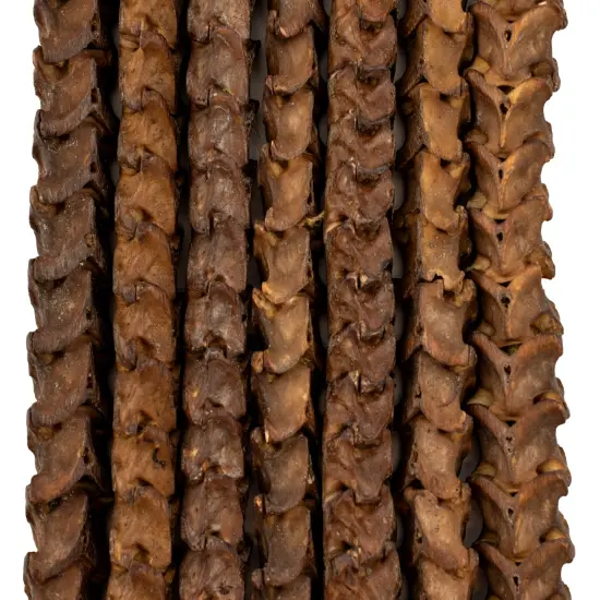 The Bead Chest Real Snake Vertebrae Beads from Africa Large 14mm Nigeria African Brown Interlocking Bone Large Hole 32-34 Inch Strand Handmade {3}