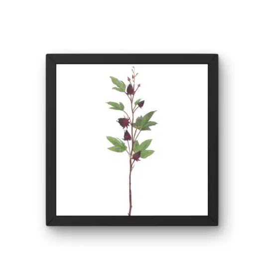 32" Artificial Burgundy Roselle Spray | Faux Floral Stem for Arrangements {3}