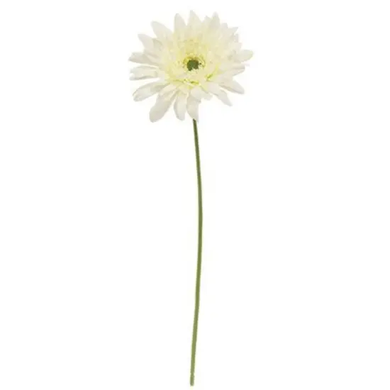 Blooming Daisy Stem White {1}