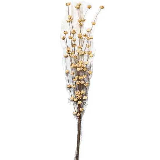 Floral Buttercup Pick Teastain {1}