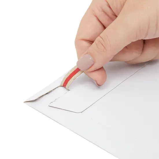 25-Pack Stay Flat Rigid Mailers 9x12 with Self Adhesive Seal, 450 GSM Sturdy Bulk White Cardboard Envelopes for Shipping Photos, Magazines, Comic Books, Art Prints, Documents, Collectibles {5}