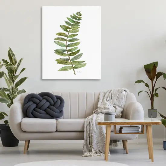 Stupell Industries Curved Fern Branch Canvas By Carol Robinson {2}