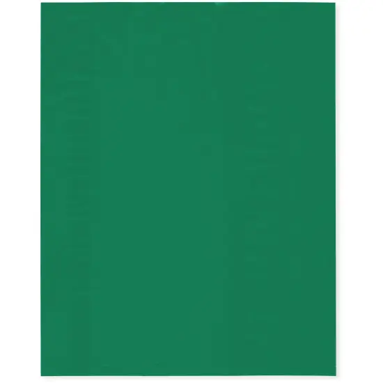 Plymor 8" x 10", Green 2 Mil Flat Open Plastic Poly Bags {1}