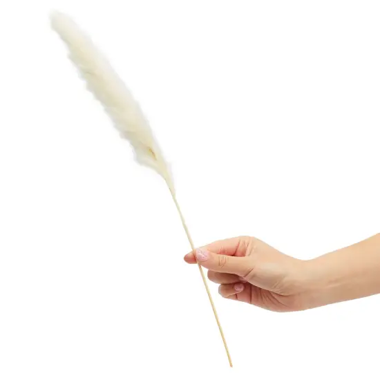 30 Pack Dried White Pampas Grass for Vase, Wedding, Rustic-Style Farmhouse Decor, Boho-Themed Home Decor (17 In) {4}