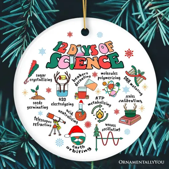 12 Days of Science Ornament, Christmas Gift for Scientist Nerd or Teacher {1}