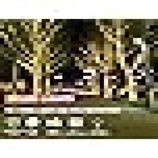 Commercial Grade Outdoor Waterproof {5}