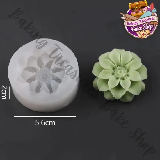 Succulent Silicone Mold {6}