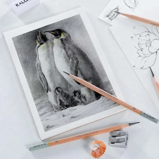 18-Piece Professional Sketch Pencil Set - Includes 5H to 14B Pencils,Graphite, Vinyl Eraser, Kneaded Eraser,Sharpener and Paper Blending Stump - Ideal for Artists and Beginners {2}