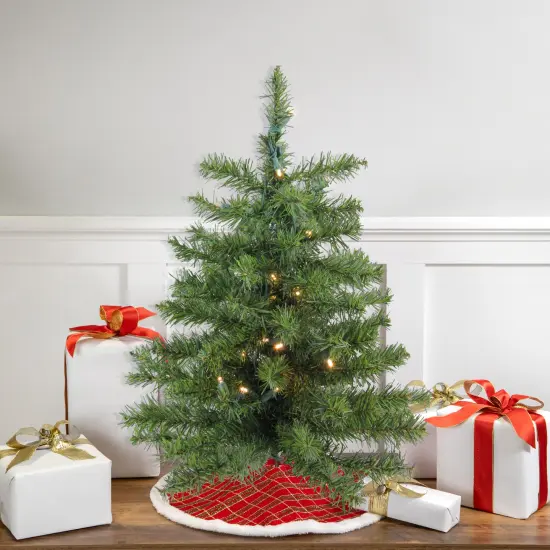 Northlight Pre-Lit Medium Canadian Pine Artificial Christmas Tree - 2' - Warm Clear Lights Green {1}