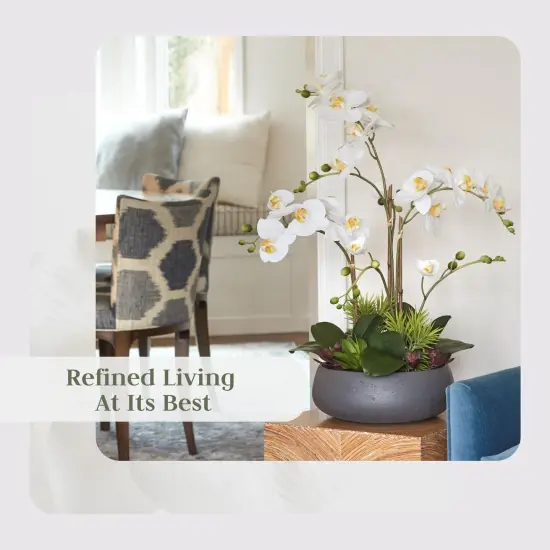 Faux Orchid Plant w/Succulents, Premium Artificial Indoor Flower Display Stands 24” w/Beautiful Sculptural Blooms and Succulents That Lasts Forever, Grey Planter Pot Included {4}