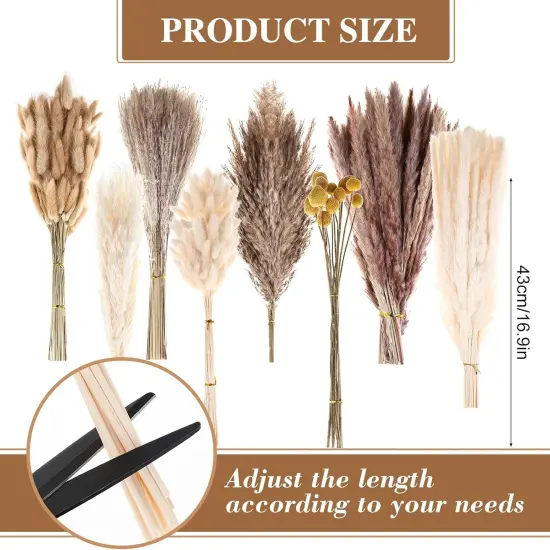 400 PCS Dried Pampas Grass Decor {4}