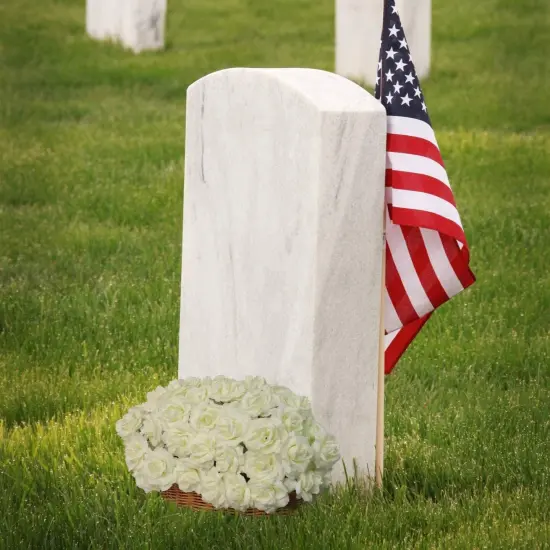 Cream White Silk Rose Picks: Set of 100, 8" Stems, 3" Wide, Floral Home by Artificial Flowers {4}