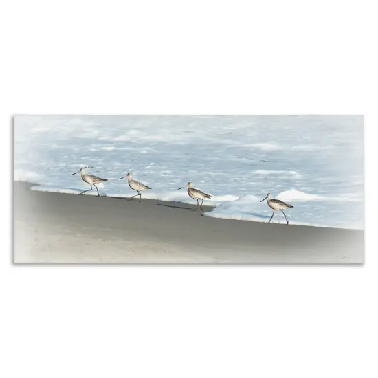 Stupell Industries Four Sandpipers on Beach Canvas Wall Art Design by Rhonda Addison {1}